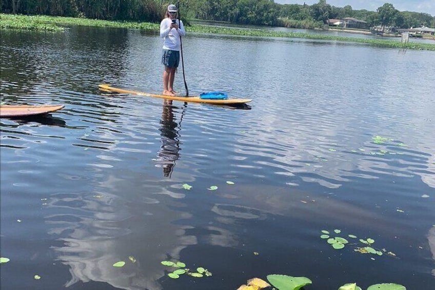 Another amazing day on the Florida waterways with lots of Manatees!