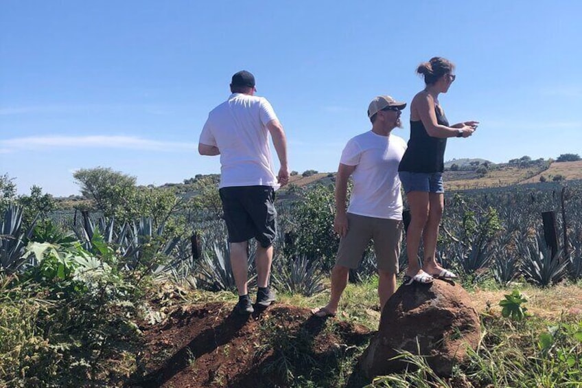 Tequila Jalisco Full Day Tour from Puerto Vallarta