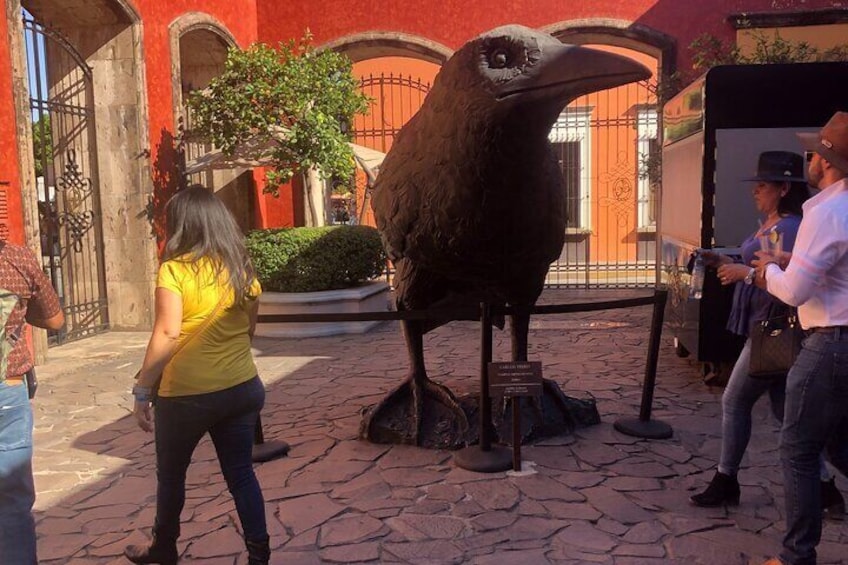 Cuervo (Raven) Long tradition name in Tequila 