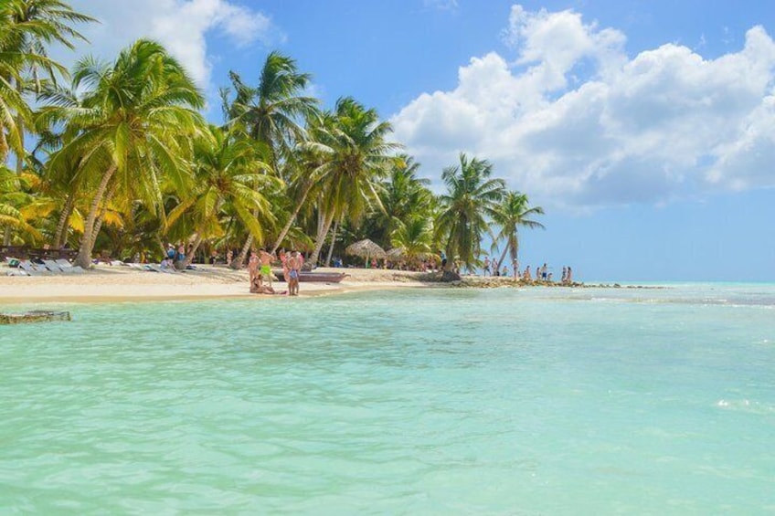  Saona Island Paradise Full Day - all inclusive. From Punta Cana & Bayahibe