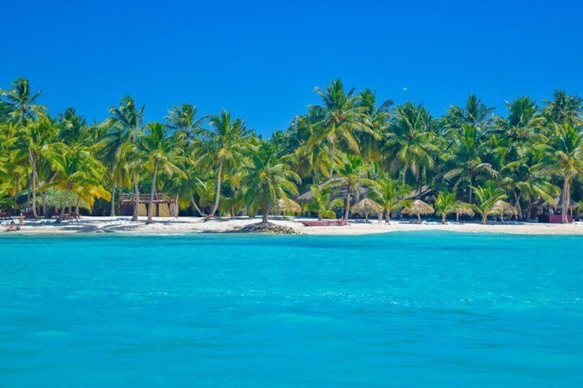  Saona Island Paradise Full Day - all inclusive. From Punta Cana & Bayahibe