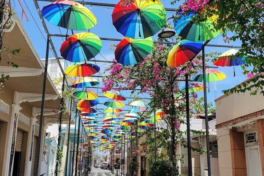 Umbrella Street. 