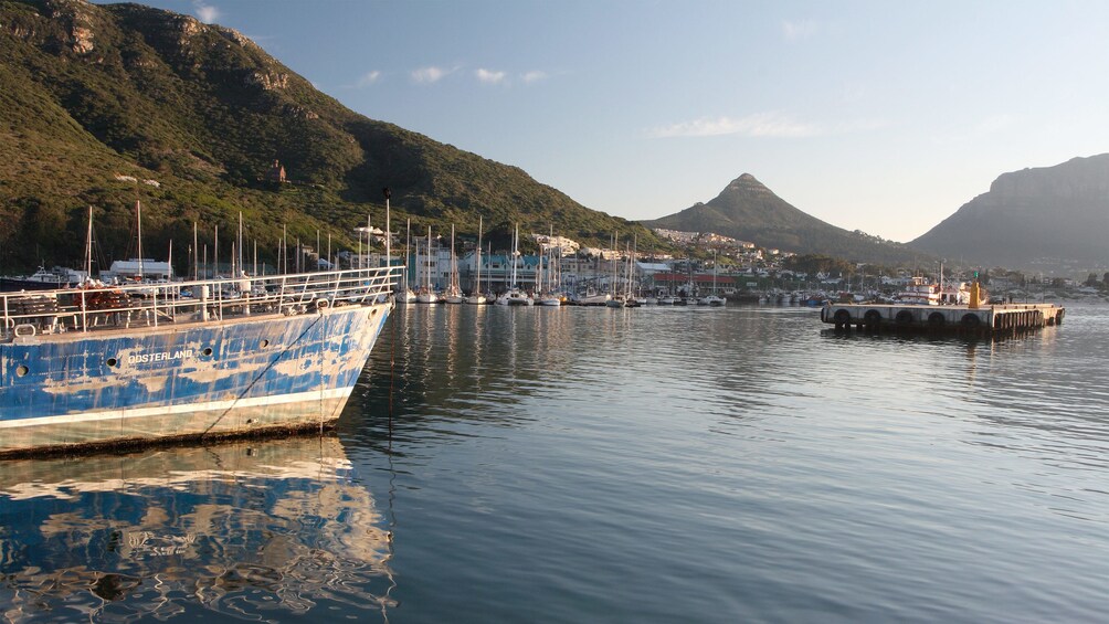 Boat view on the Cape Peninsula Tour