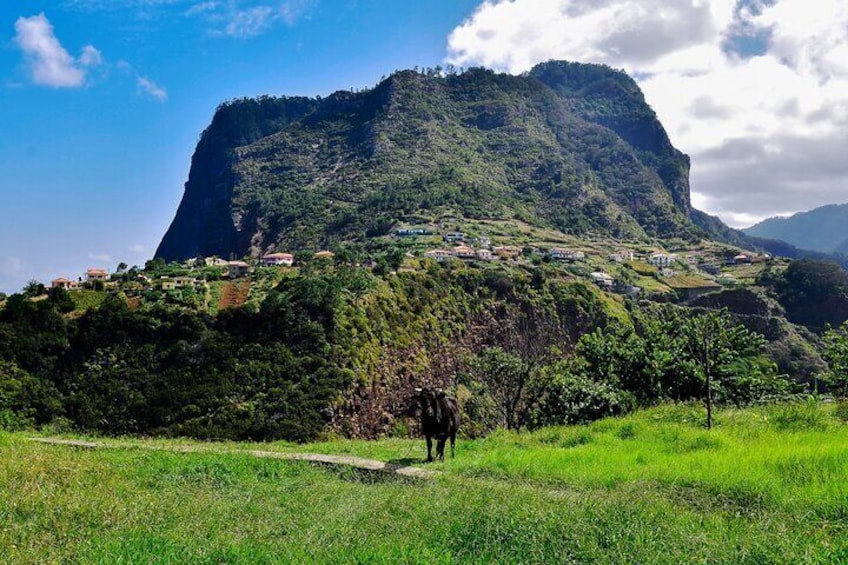 Premium Exclusive Tour from Madeira Portugal