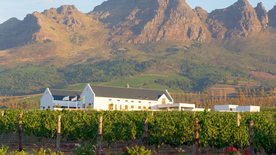 stellenbosch mountains in Cape Town, South Africa