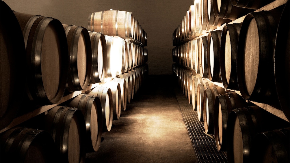 View of the wine cellar in Cape Town, South Africa 