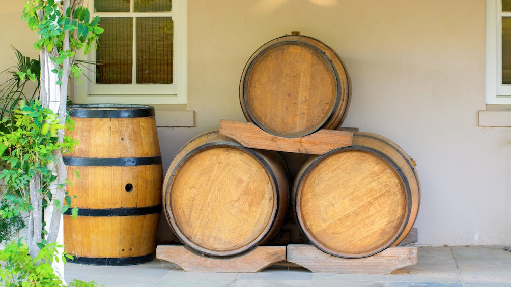 Wine barrels in Cape Town, South Africa