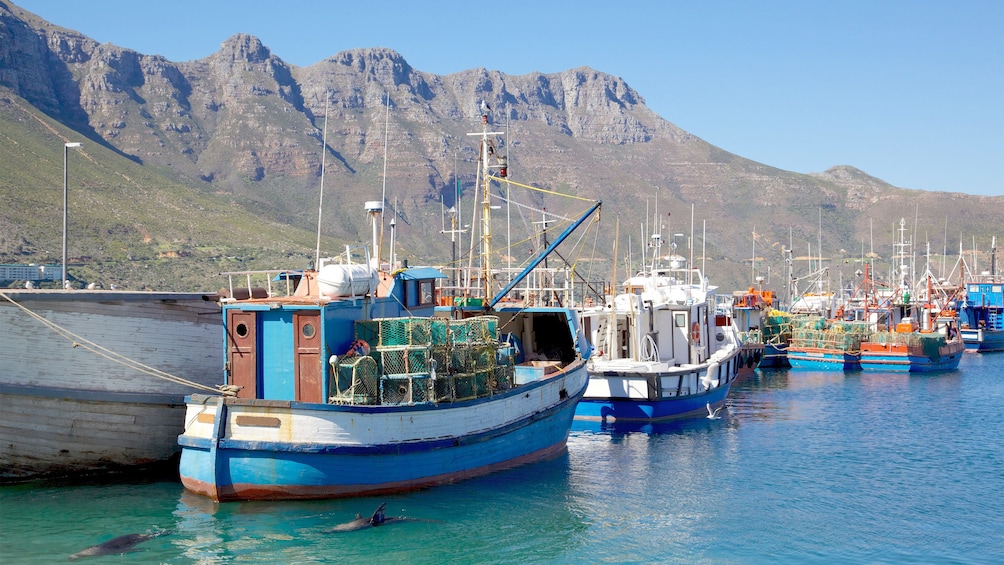 Landscape view of the south african fishing boats