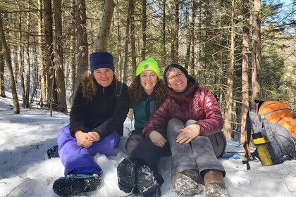 Mindful Forest Escape: Rebalance, reflect and connect
