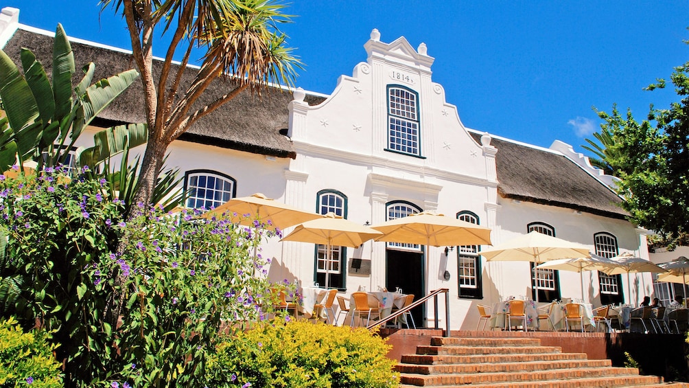 Winelands tour in Cape Town, South Africa 