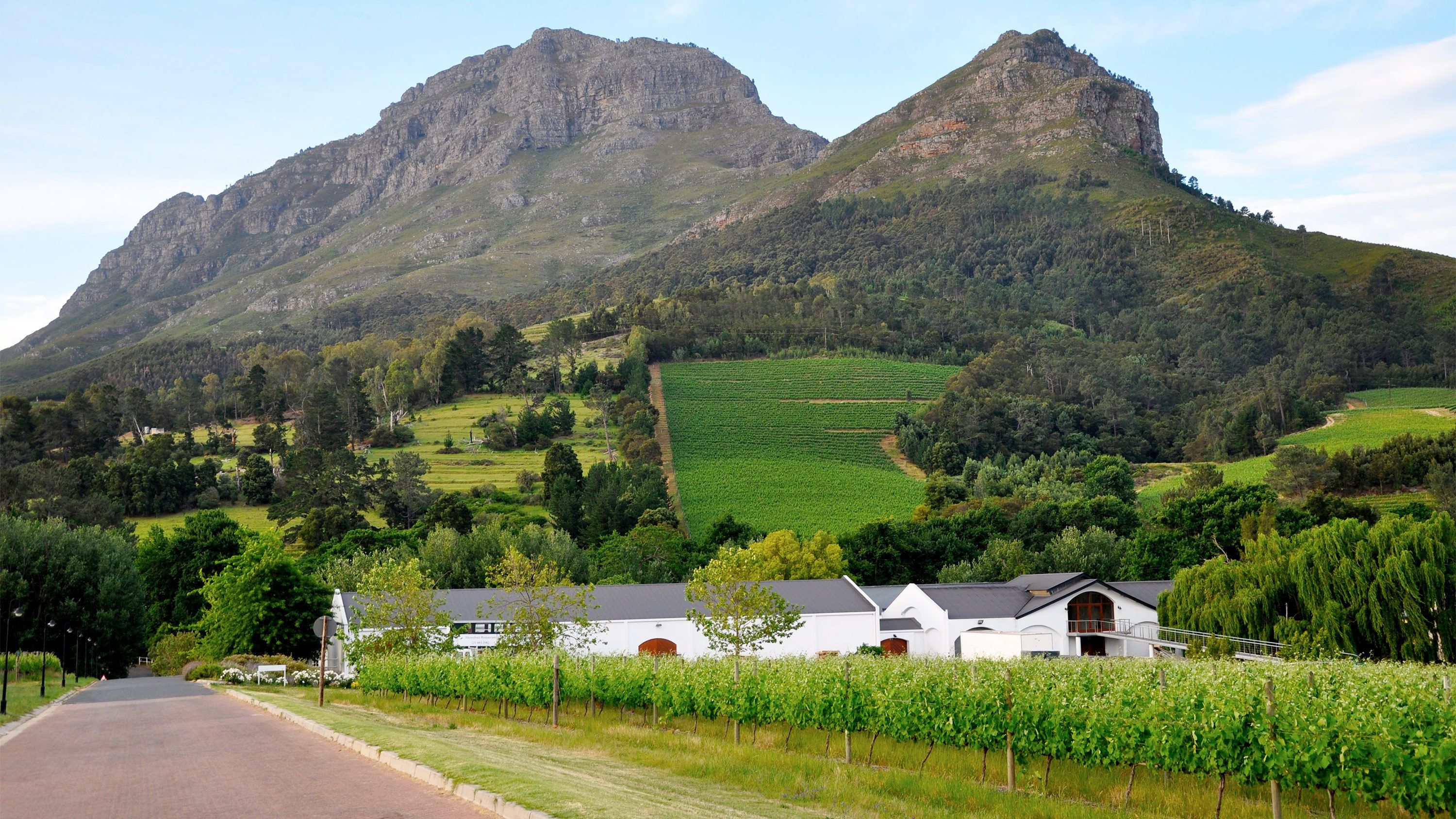 Full-Day Cape Winelands Tour