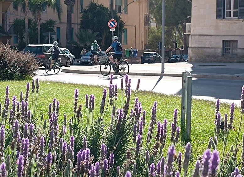 Picture 5 for Activity Catania: Electric Bike Rental