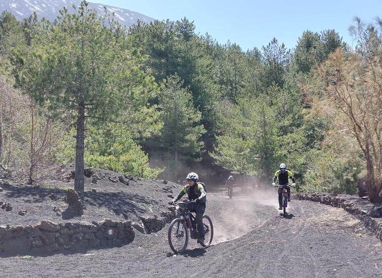 Picture 2 for Activity Mount Etna: electric mountain Bike Rental