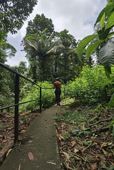 Canopy Zipline Tour Braulio Carrillo Half Day Pass