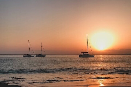 Lanzarote: Delfine bei Sonnenuntergang 2-stündige Segelkatamaran Tour