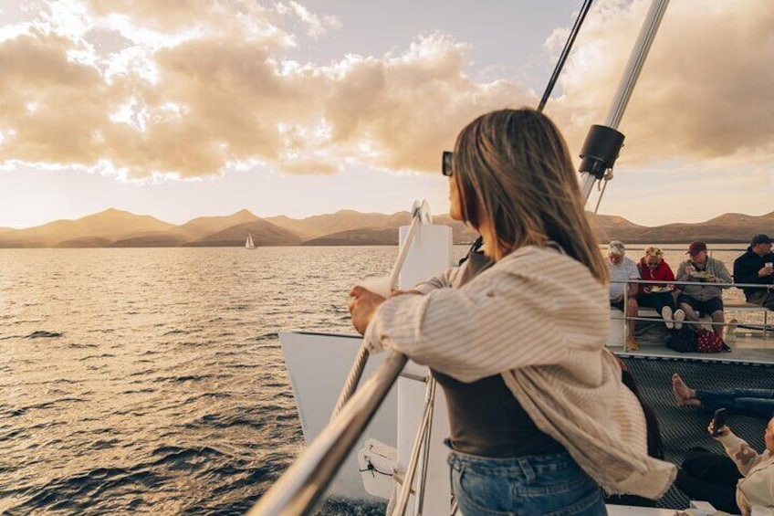 2hrs Dolphins Sunset Sailing Cruise With Drink