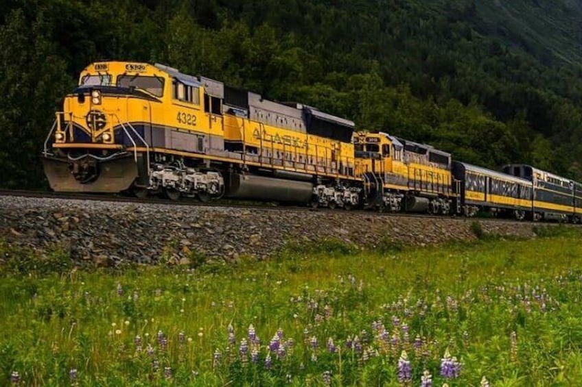 Alaska Railroad Denali to Fairbanks One Way