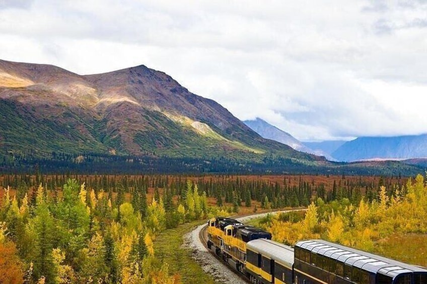 Alaska Railroad Denali to Fairbanks One Way