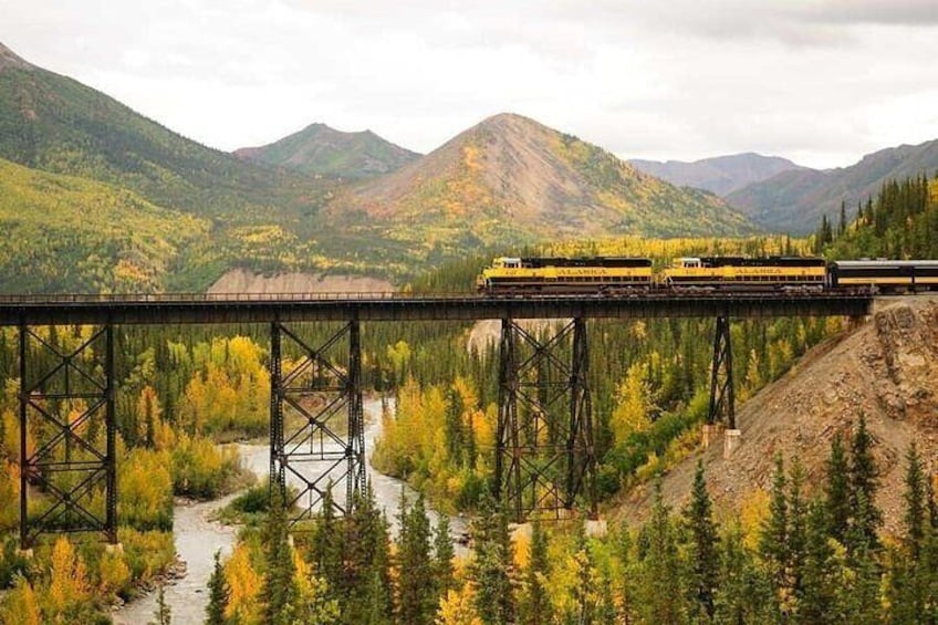 Alaska Railroad Denali to Fairbanks One Way