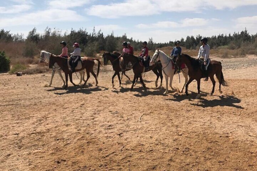 3 Hours Horse or Camel Riding in Hurghada with Dinner