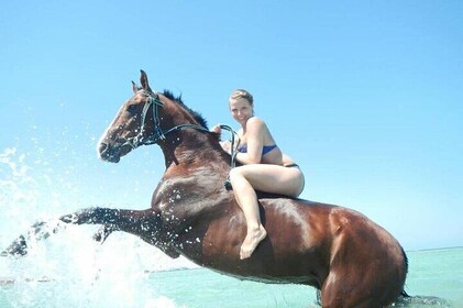 Horse Riding 3 Hours Desert Beach Swimming by horse in Hurghada