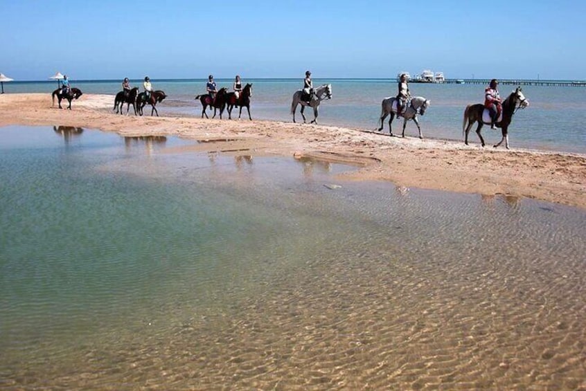 3 Hours Horse or Camel Riding in Hurghada with Dinner