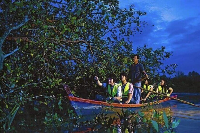 Magical Fireflies Tour