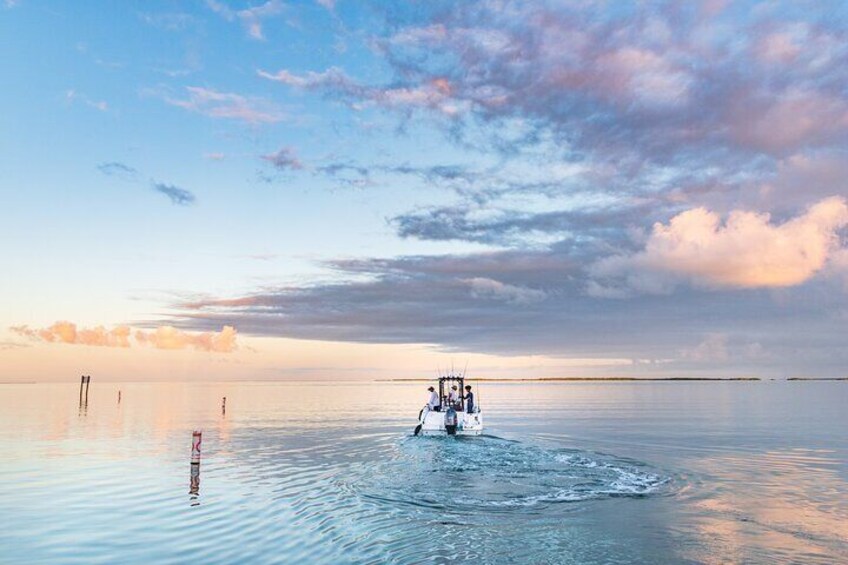 Let's Get Fishy: Fishing Activity in Qatar