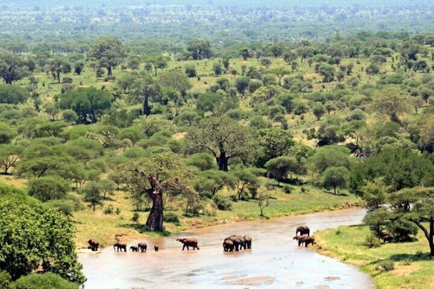 Full Day Private Tour - Isimangaliso Wetland Park - World Heritage Site