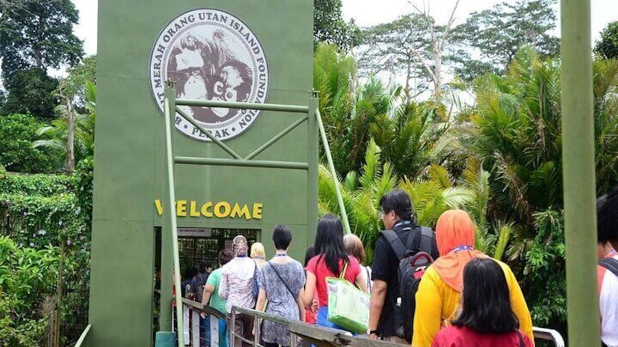 Orang Utan Island Day Tour