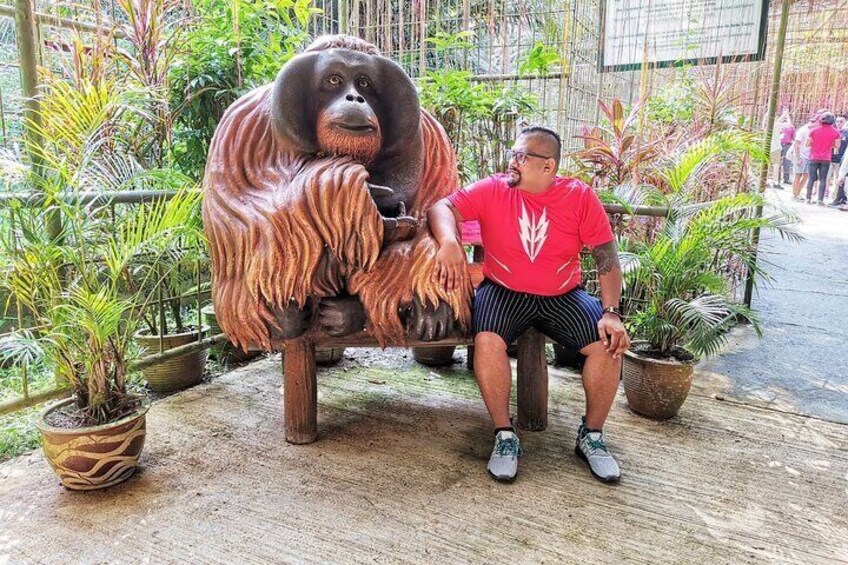 Orang Utan Island Day Tour
