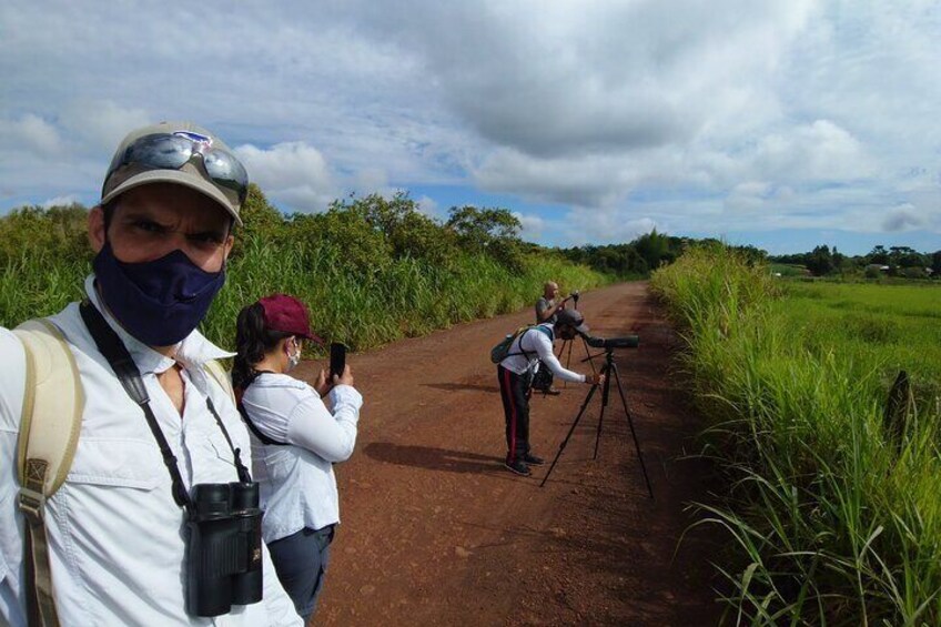 Iguazu Expeditions Morning Birdwatching