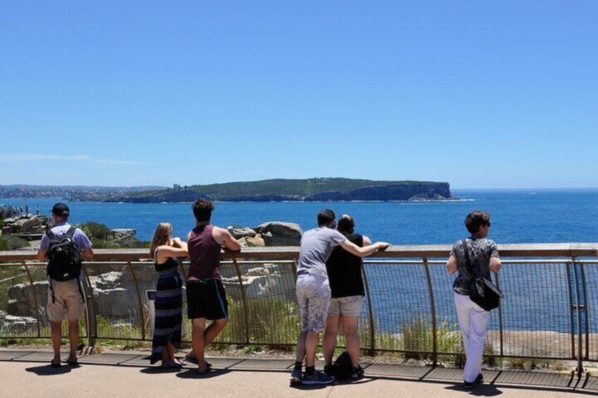 Sydney Guided Bus Tour