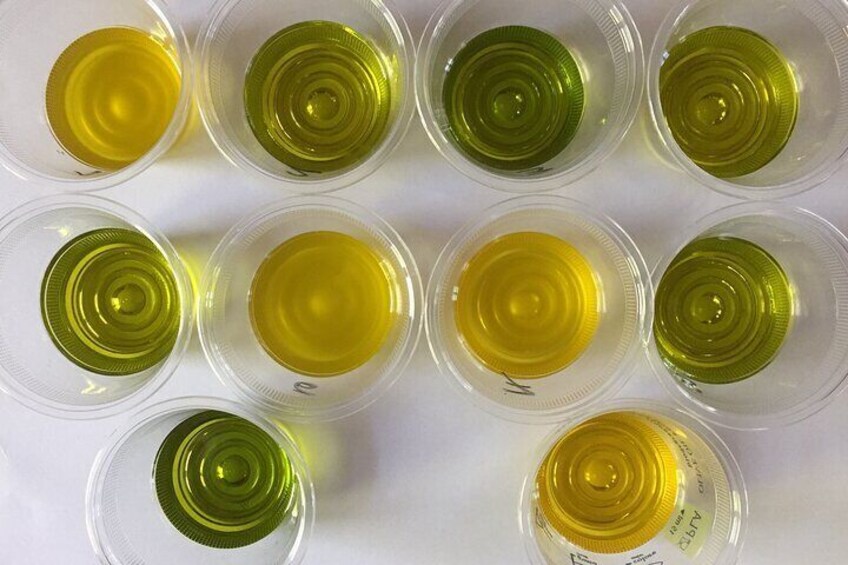 Oil tasting