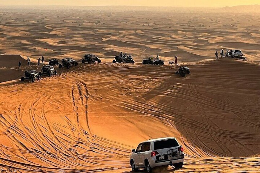 Desert Safari with Dune Bashing, Camel Ride, BBQ Dinner, Sand Board & Live Shows