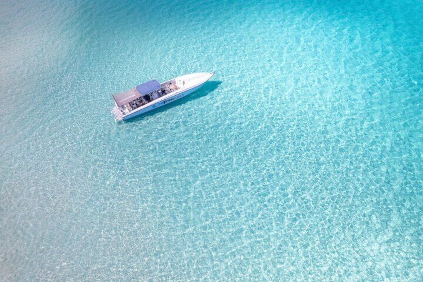 Pink Sand Beach and Swimming Pigs Adventure from Nassau