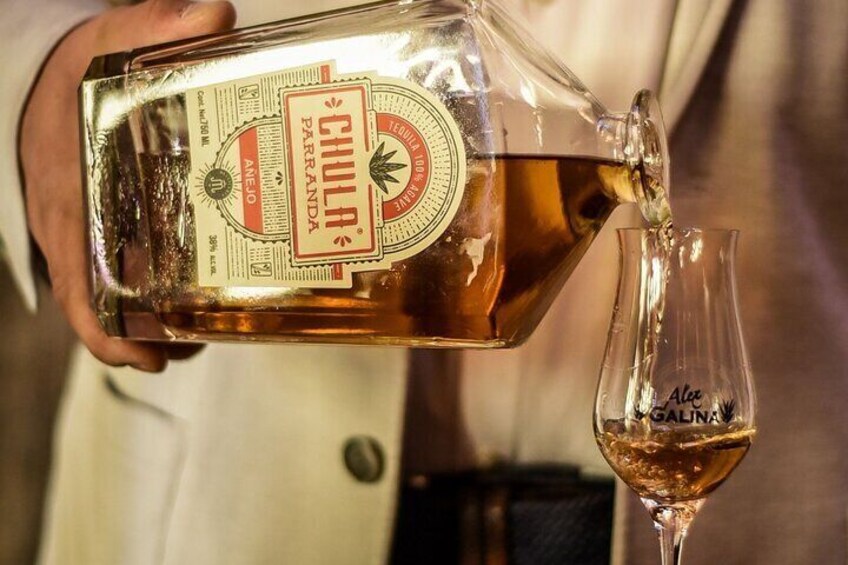 Tequila Tasting San Miguel de Allende