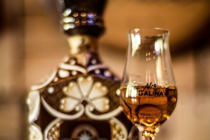 Tequila Tasting San Miguel de Allende