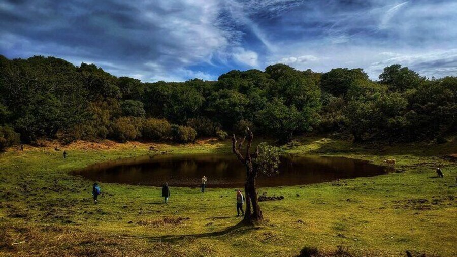 Fanal lagoon