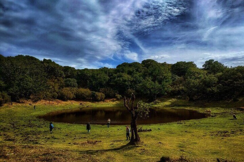 Fanal lagoon