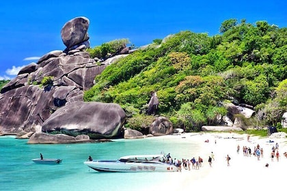 Phuket Similan Island Andaman Ocean Tour by Van and Speedboat