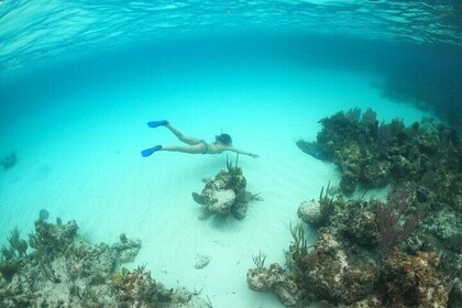 Be Your Own Captain Adventure: Bimini, Nassau, Exuma oder Eleuthera