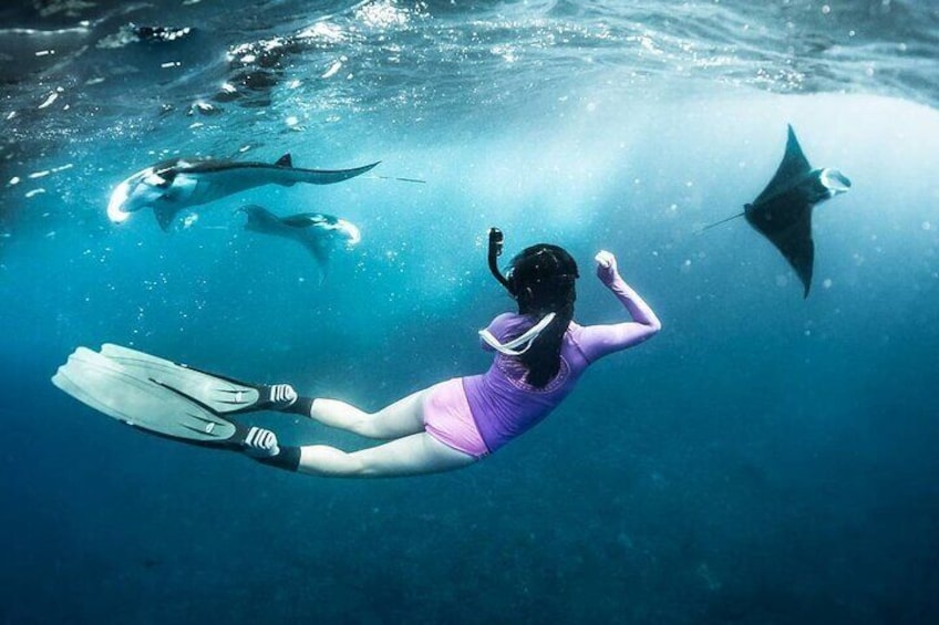 Snorkeling Manta Ray in Nusa Lembongan