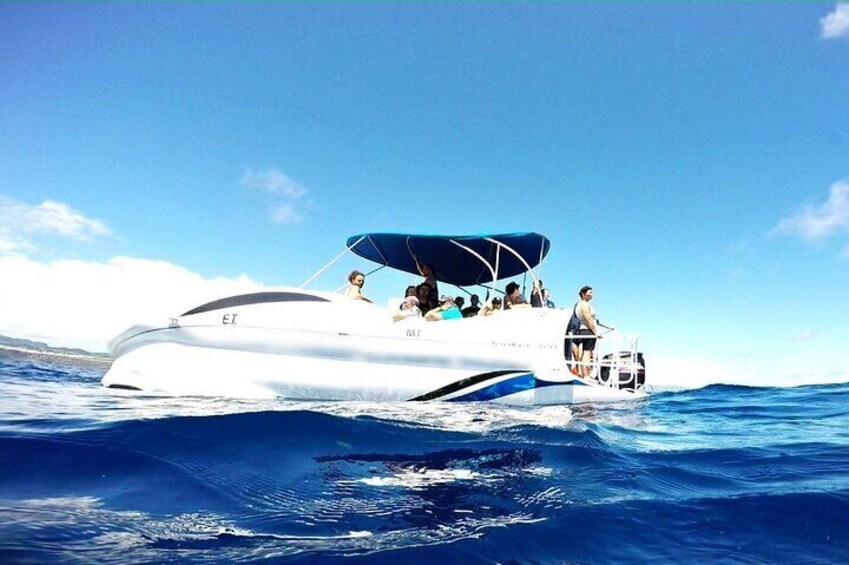 Glass Bottom Boat and Snorkeling Experience in Vila Franca do Campo 