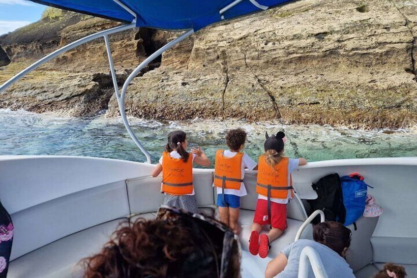 Glass Bottom Boat Tour & Snorkeling in São Miguel, Azores