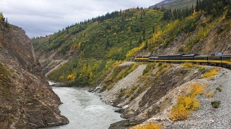 Alaska Railroad Fairbanks to Denali One Way