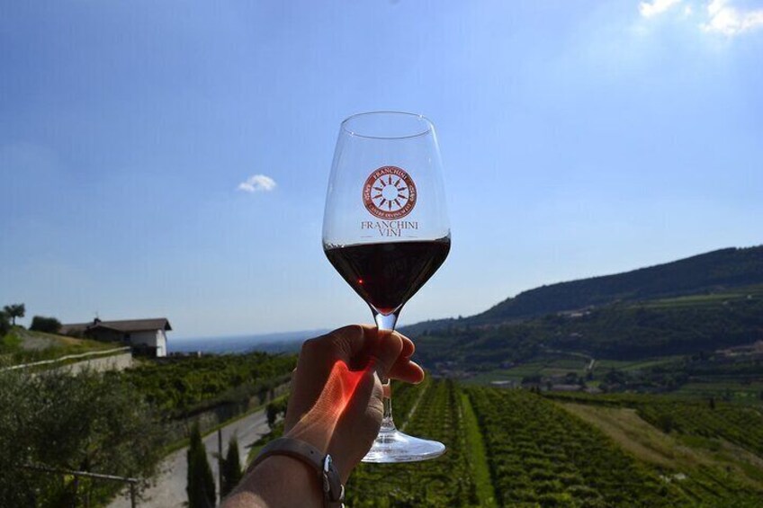 Wine Tasting in Valpolicella Classica: the cradle of Amarone