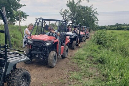 Jungle bikes Dune Buggy