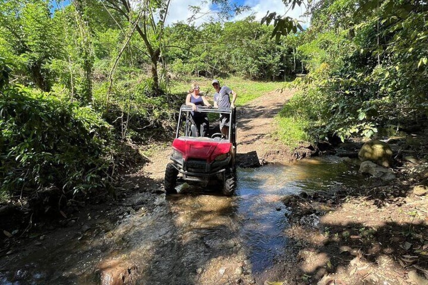 Jungle bikes Dune Buggy