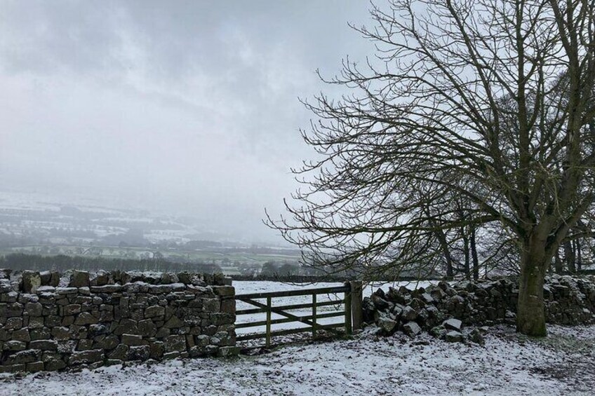 Spring snow gracing this timelessly beautiful landscape.